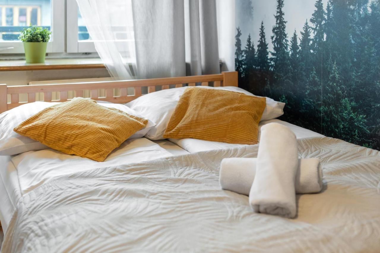 Apartament Rema W Centrum Apartzakop 扎科帕内 外观 照片