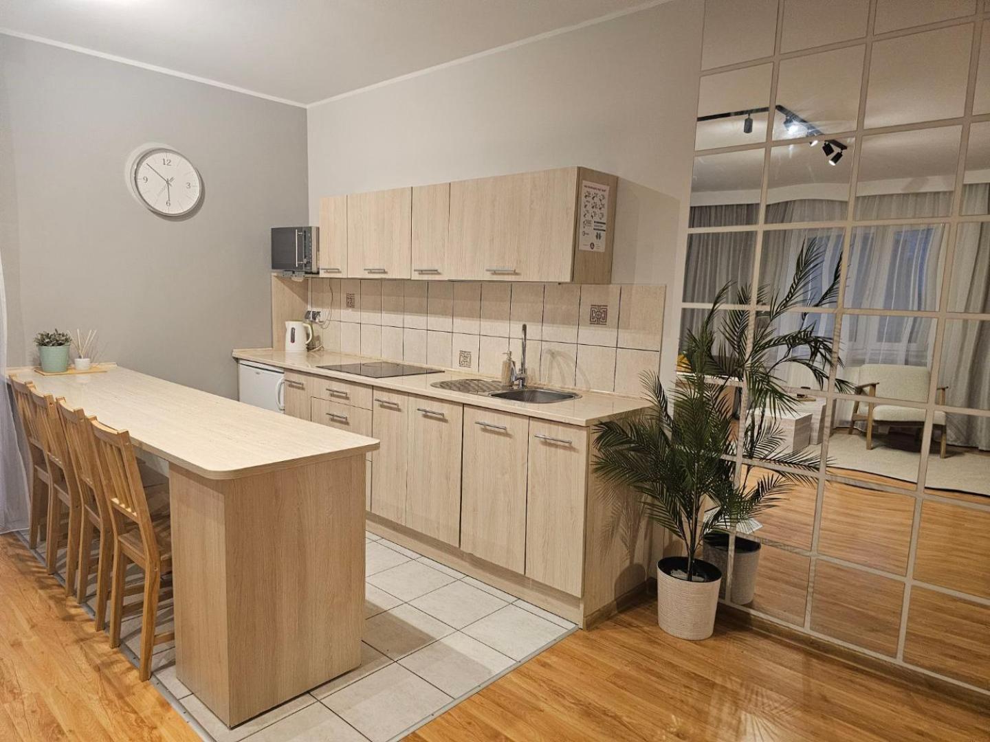 Apartament Rema W Centrum Apartzakop 扎科帕内 外观 照片