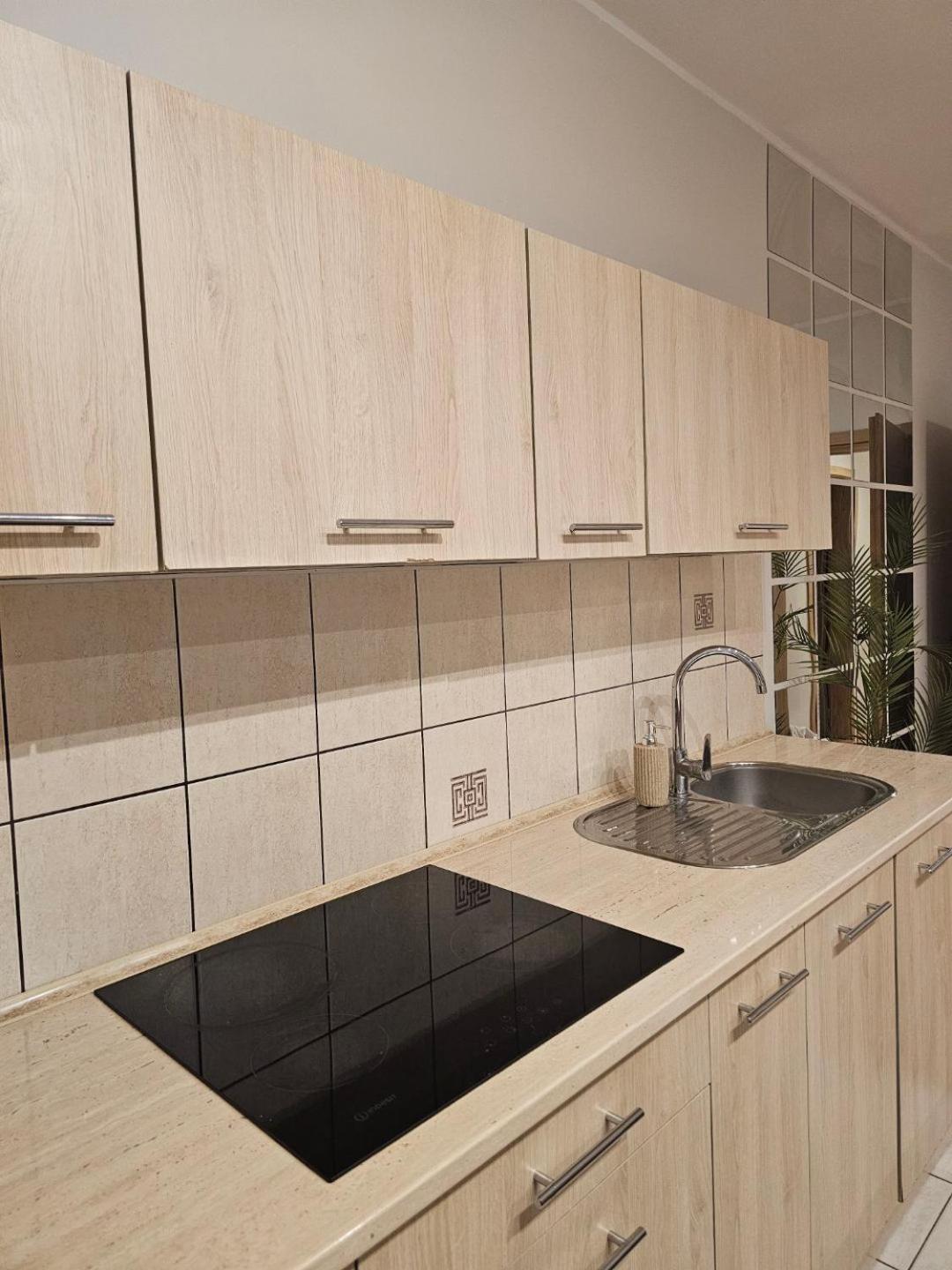 Apartament Rema W Centrum Apartzakop 扎科帕内 外观 照片