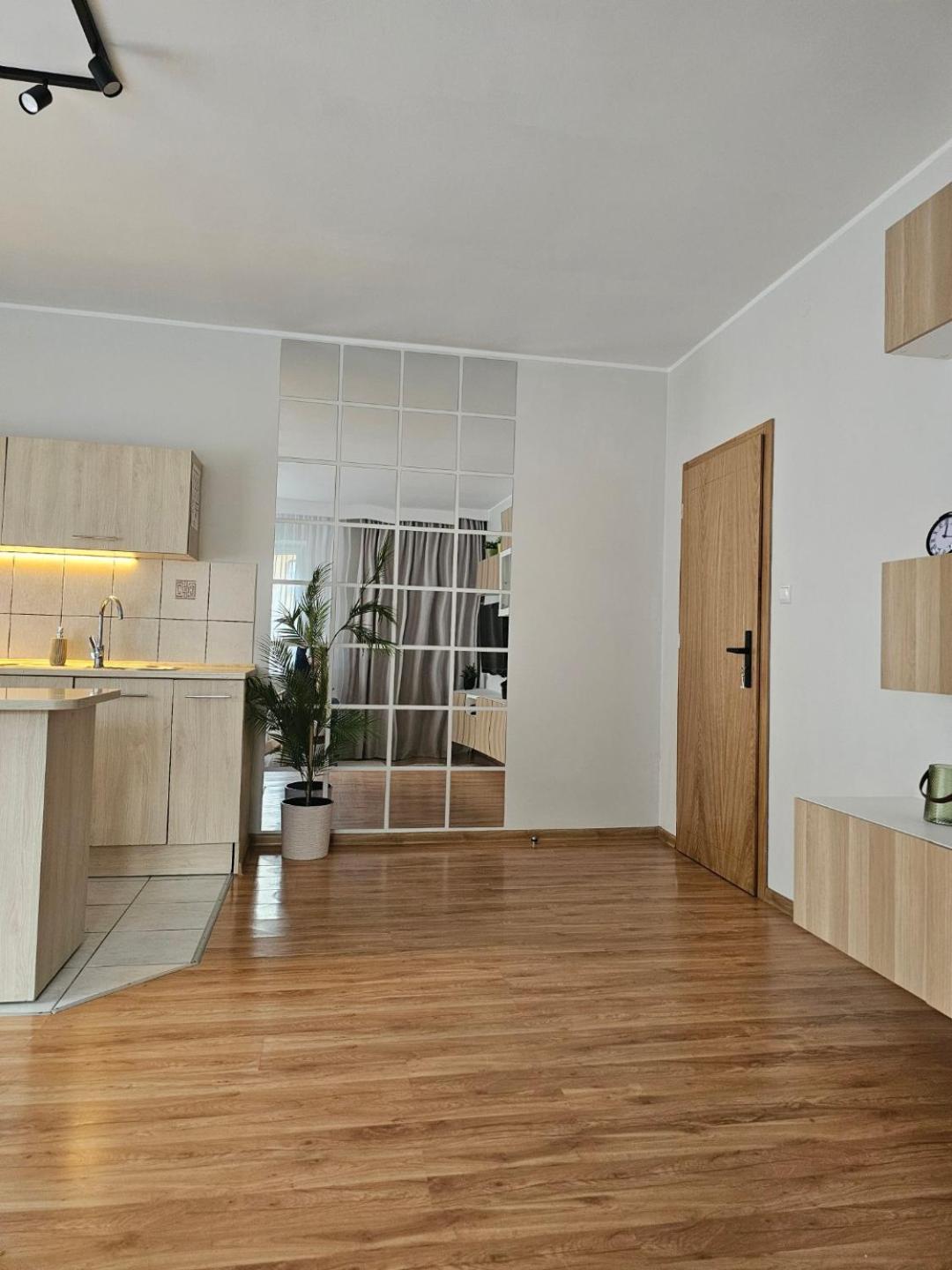Apartament Rema W Centrum Apartzakop 扎科帕内 外观 照片