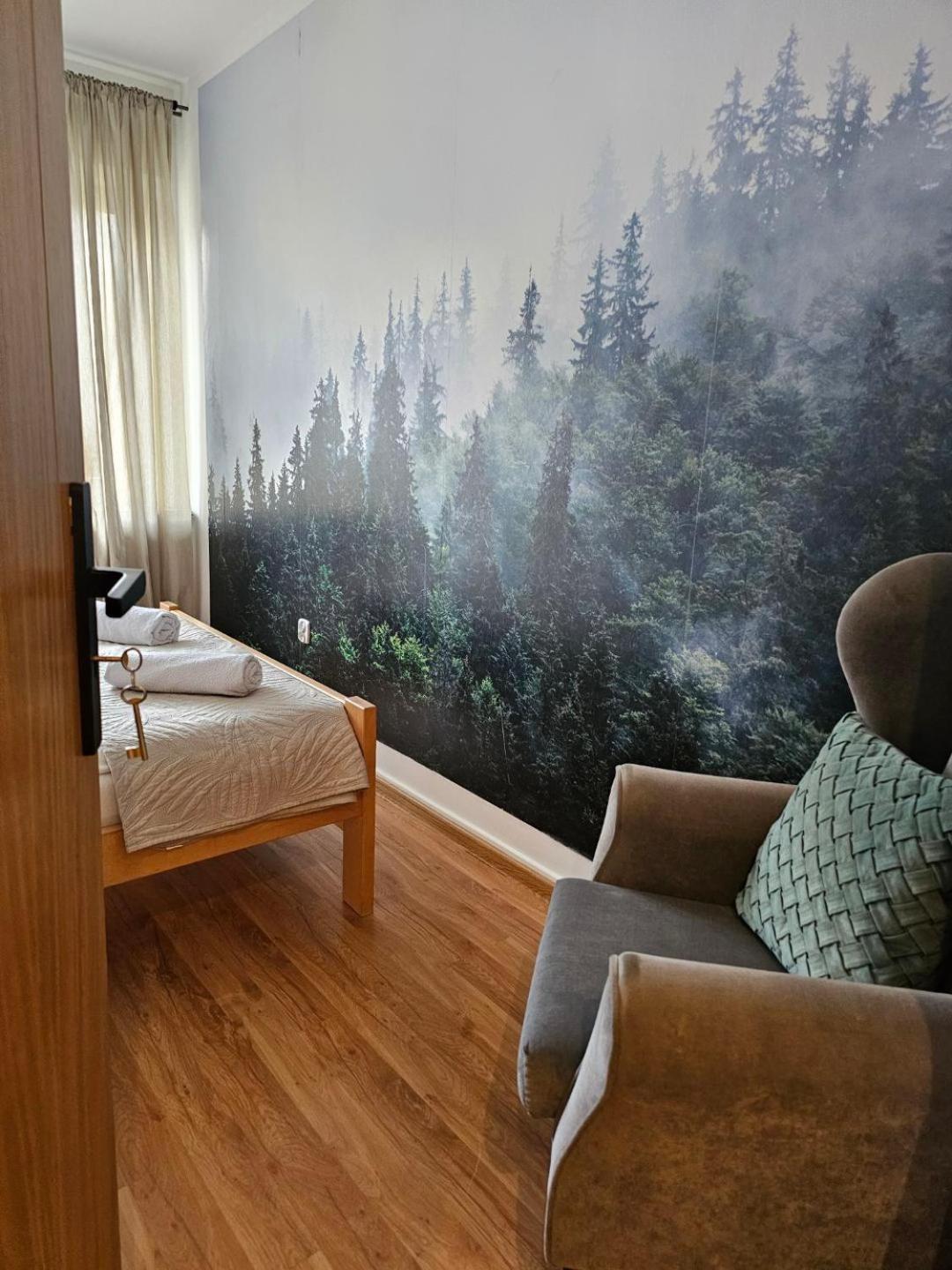 Apartament Rema W Centrum Apartzakop 扎科帕内 外观 照片